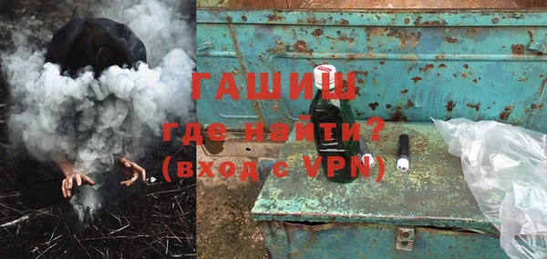 сатива Беломорск