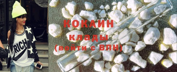 сатива Беломорск