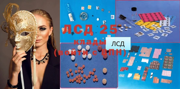 сатива Беломорск